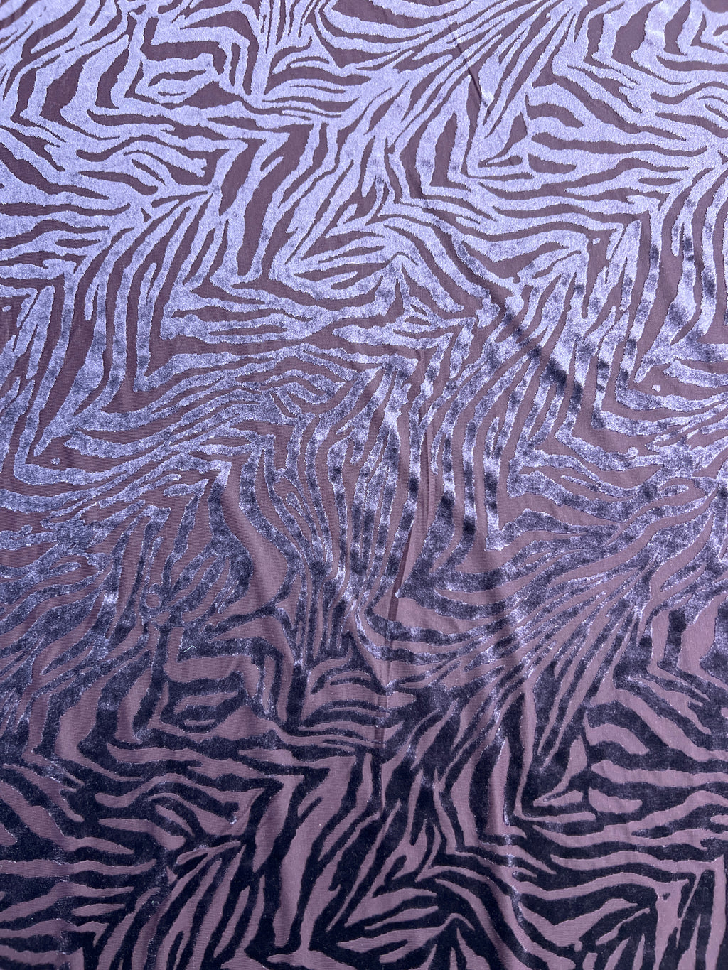 Džersis zebra 619