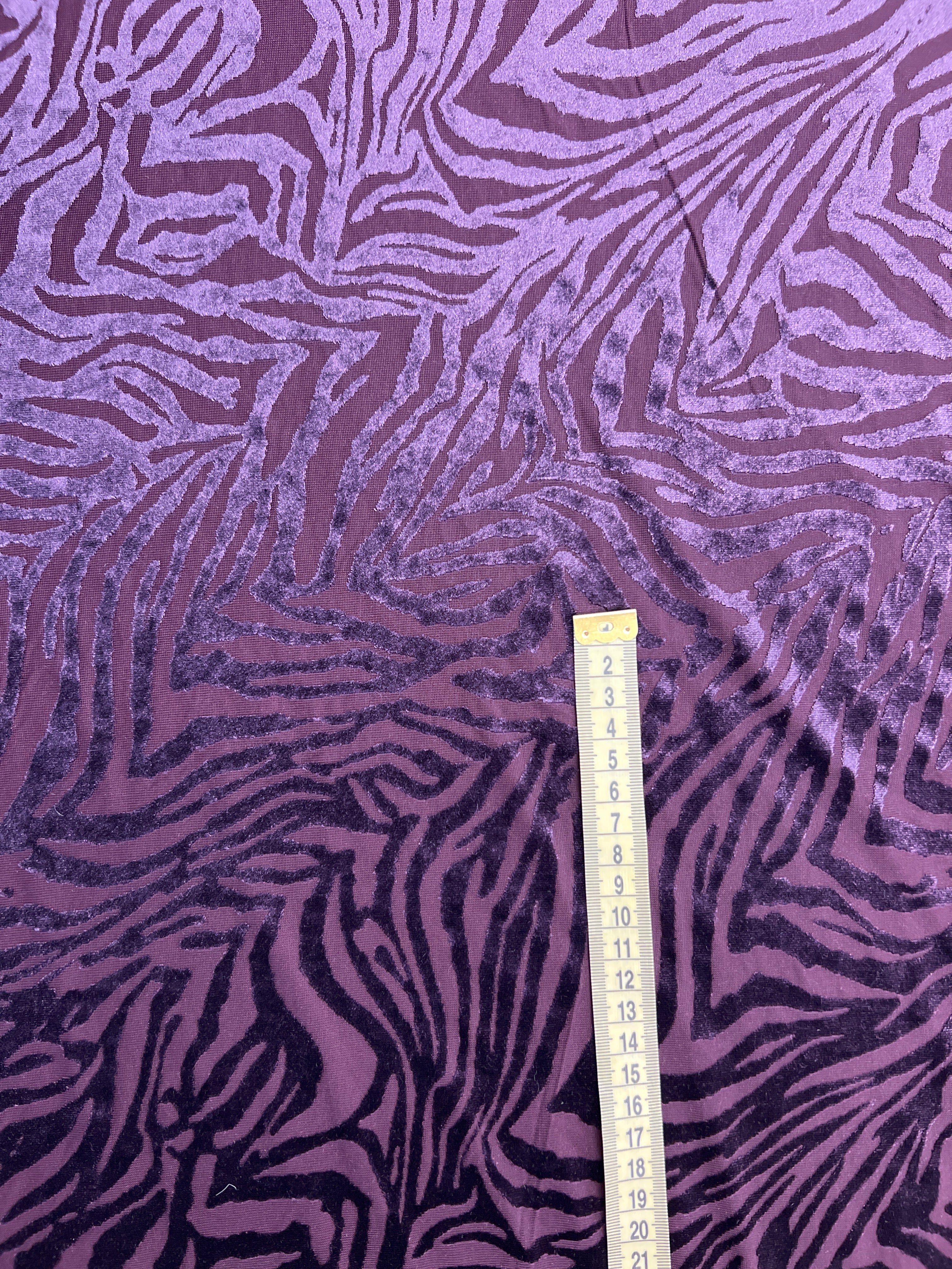 Džersis zebra 619