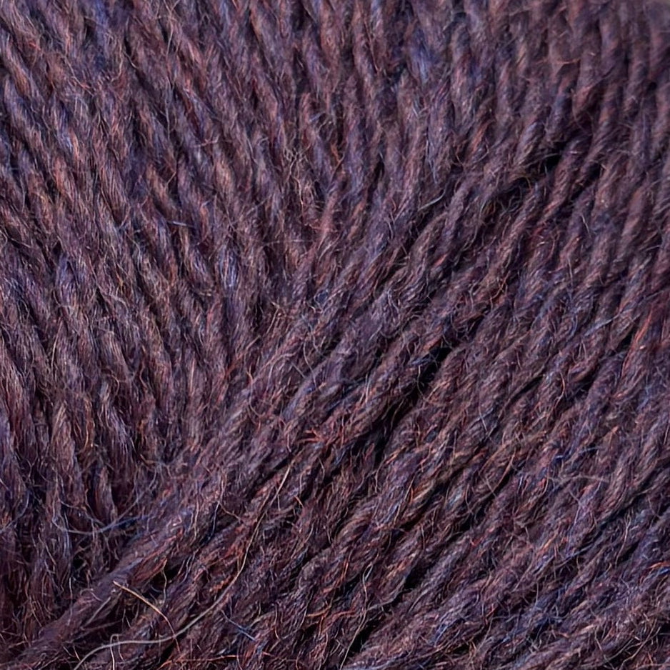 Lana Gatto - NEW BABY ALPACA 70